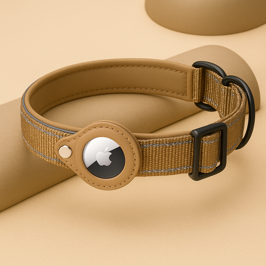 Collier airtag pour chien